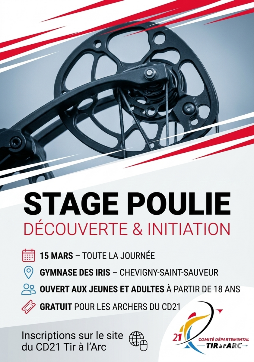 🏹 Stage : Immersion Arc à Poulies